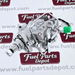 Fuel Injection Pump 336-9191 Fit for Caterpillar CAT Engine 3044C C3.4 Loader 256C 262C 277C 279C 287C 289C - Fuel Parts Depot