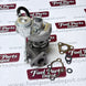 Turbo TD025M-05T Turbocharger 1G676-17013 1G67617013 Fit for Kubota D1105T V1505T - Fuel Parts Depot